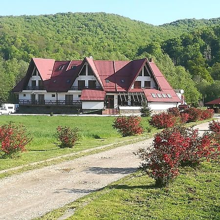 Pensiunea Rasnov Buitenkant foto
