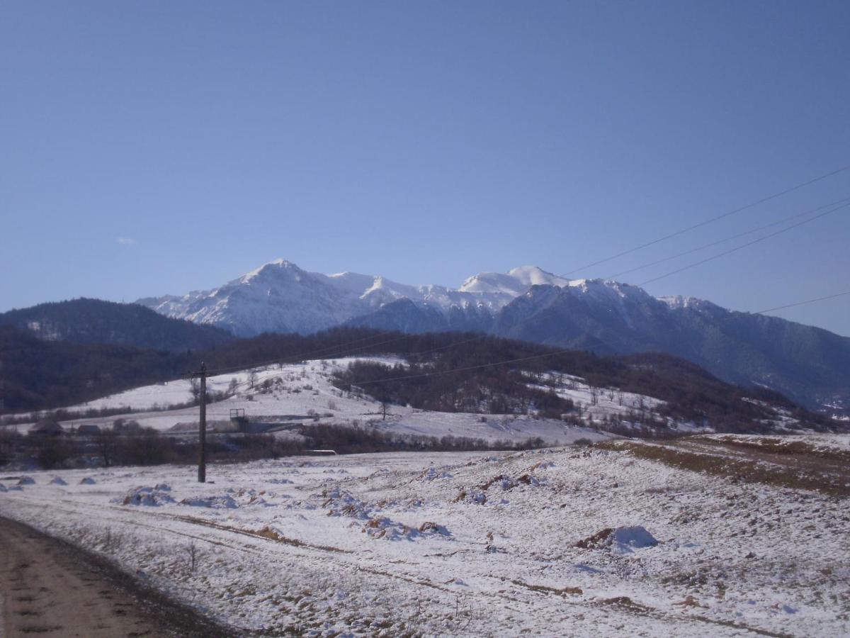 Pensiunea Rasnov Buitenkant foto