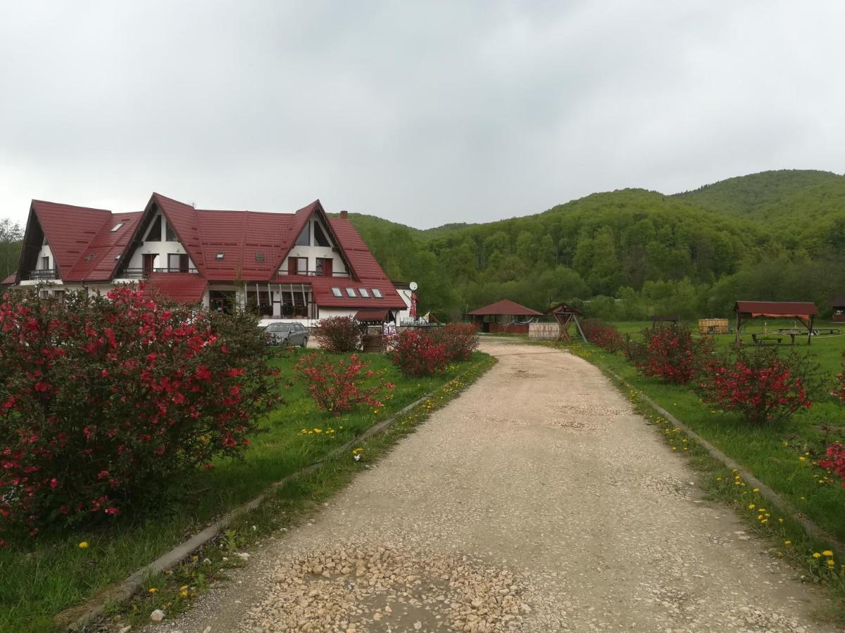 Pensiunea Rasnov Buitenkant foto