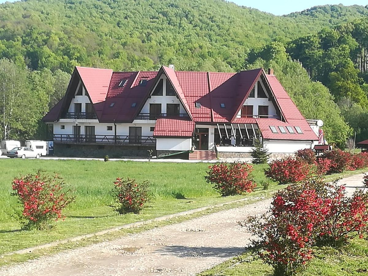 Pensiunea Rasnov Buitenkant foto