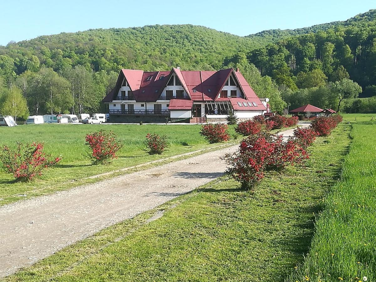 Pensiunea Rasnov Buitenkant foto