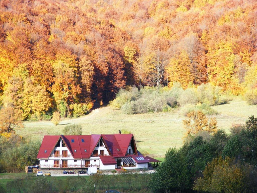 Pensiunea Rasnov Buitenkant foto